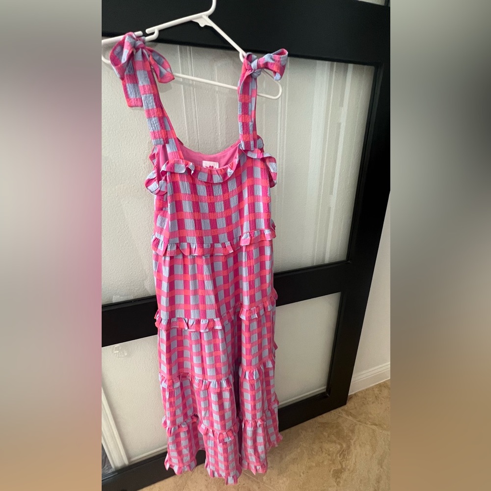 NWT Buddy love pink and light blue gingham, tie dress, fully lined size medium